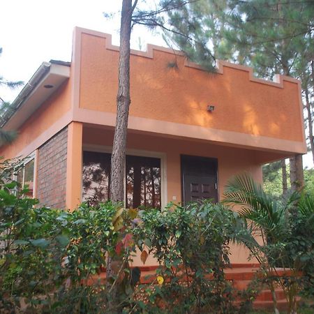 Saltek Forest Cottages Masindi Kültér fotó