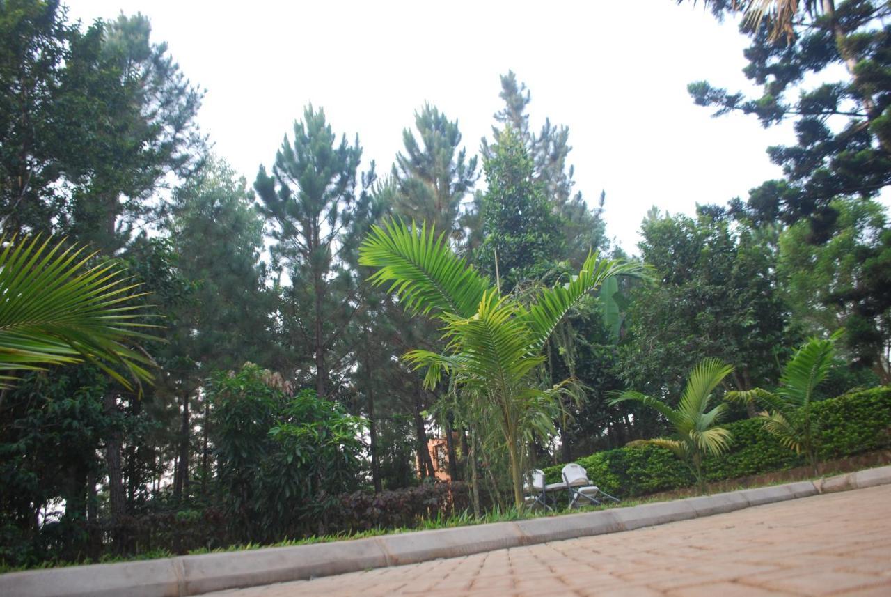 Saltek Forest Cottages Masindi Kültér fotó
