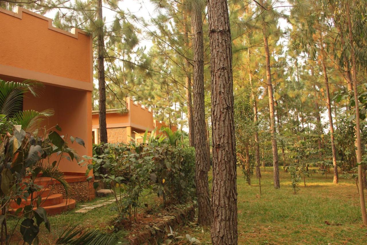 Saltek Forest Cottages Masindi Kültér fotó