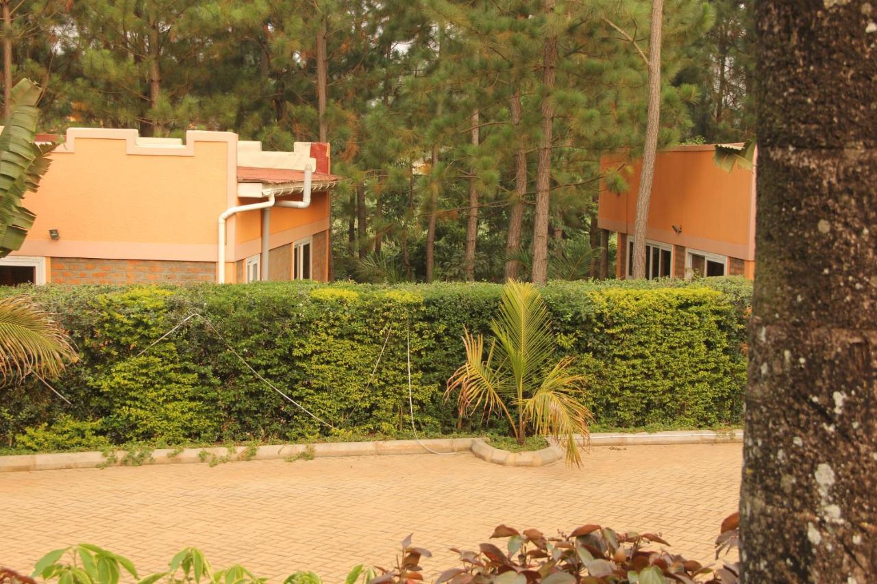 Saltek Forest Cottages Masindi Kültér fotó